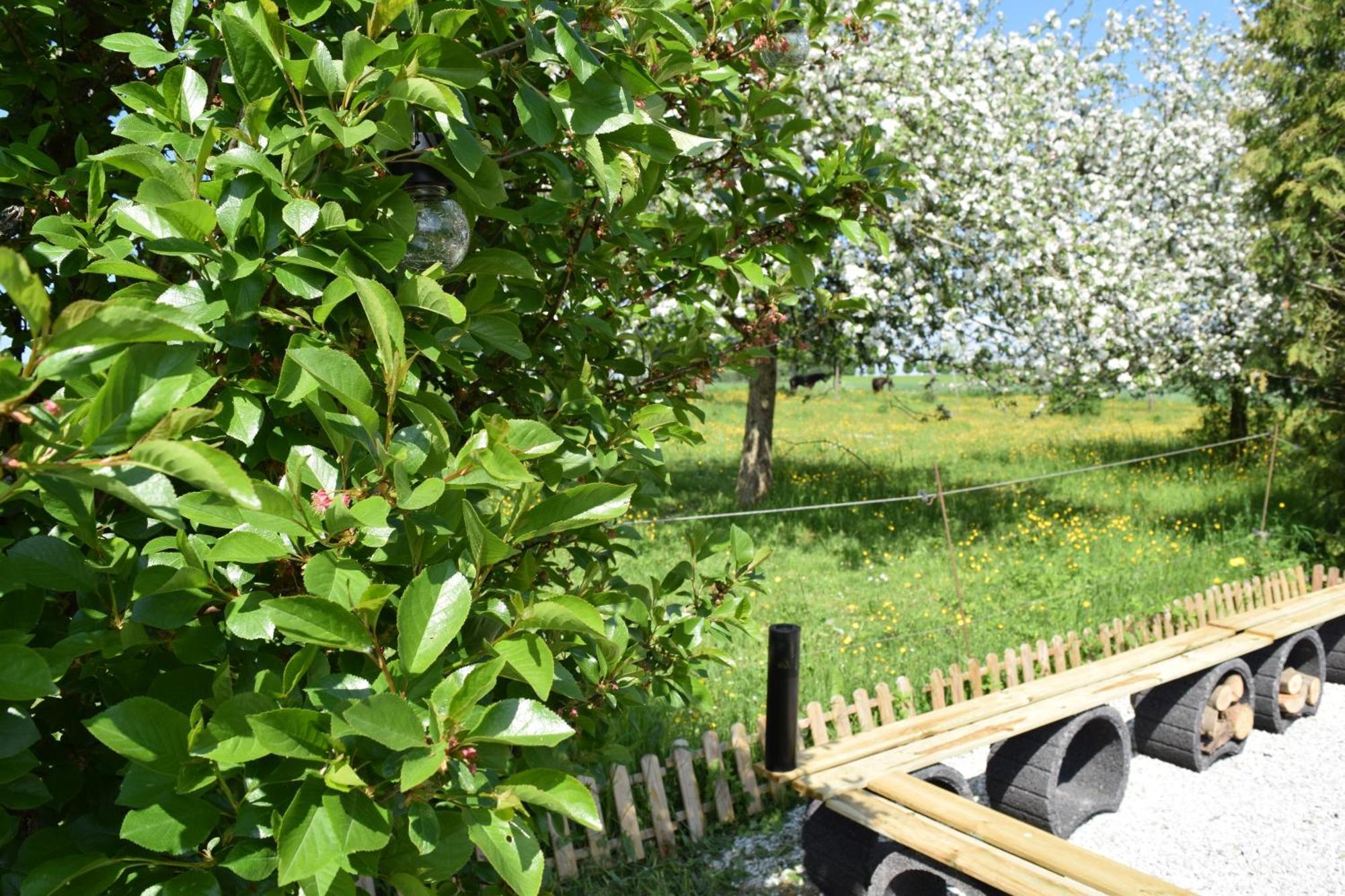 Naturgefluester * Morbach