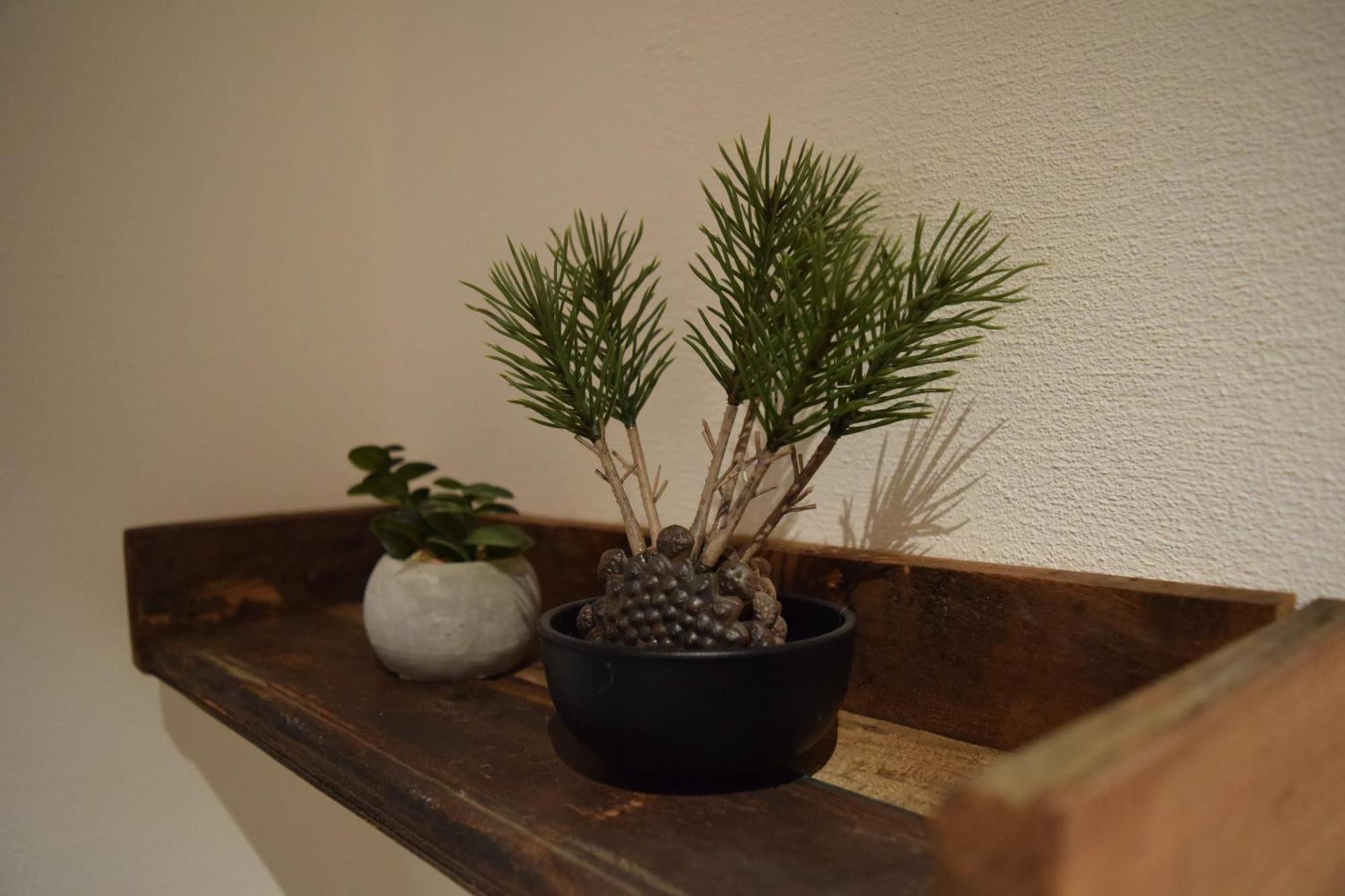 Ferienhaus Naturgefluester
